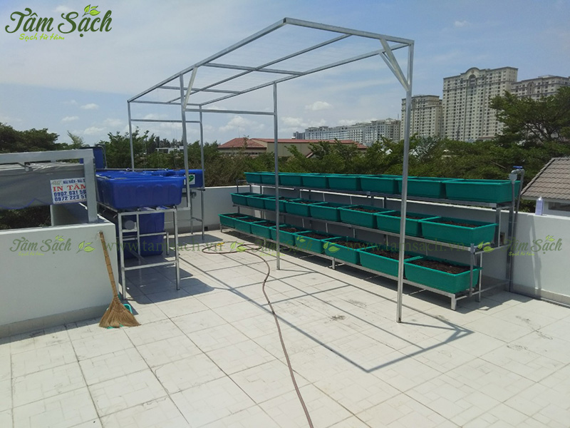 khay trồng rau 3 tầng thông minh