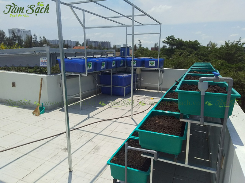 khay trồng rau 3 tầng thông minh