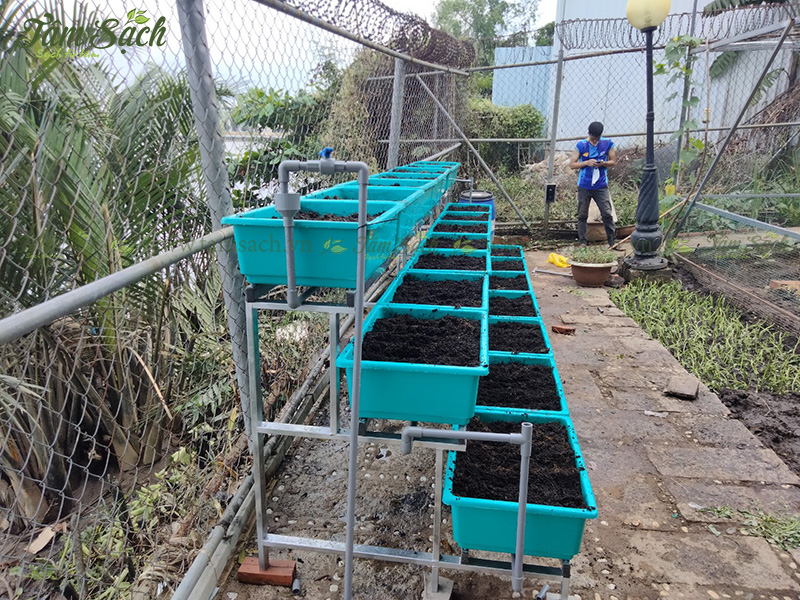 khay trồng rau 3 tầng thông minh
