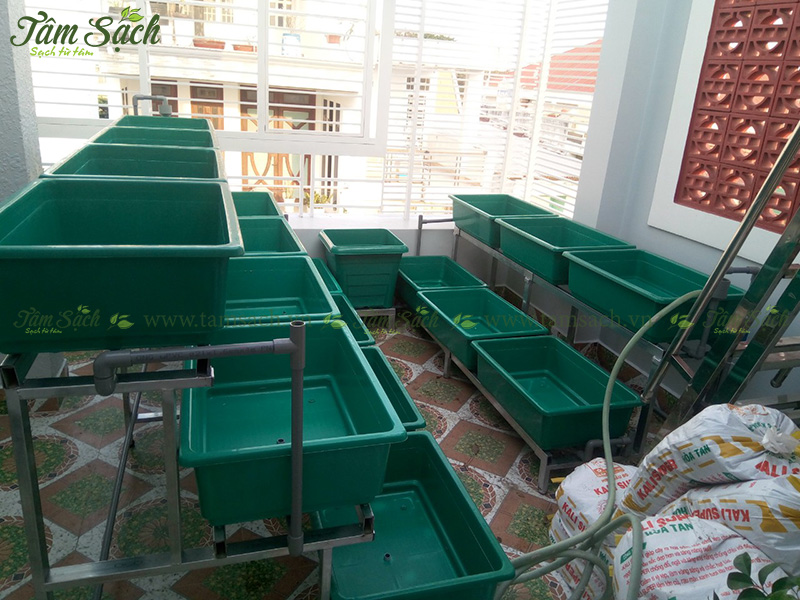 khay trồng rau 3 tầng thông minh