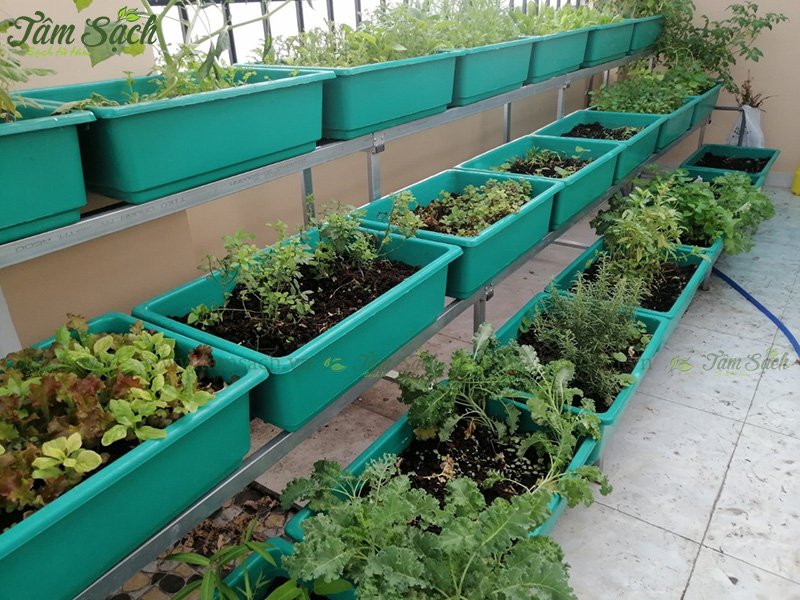 khay trồng rau 3 tầng thông minh