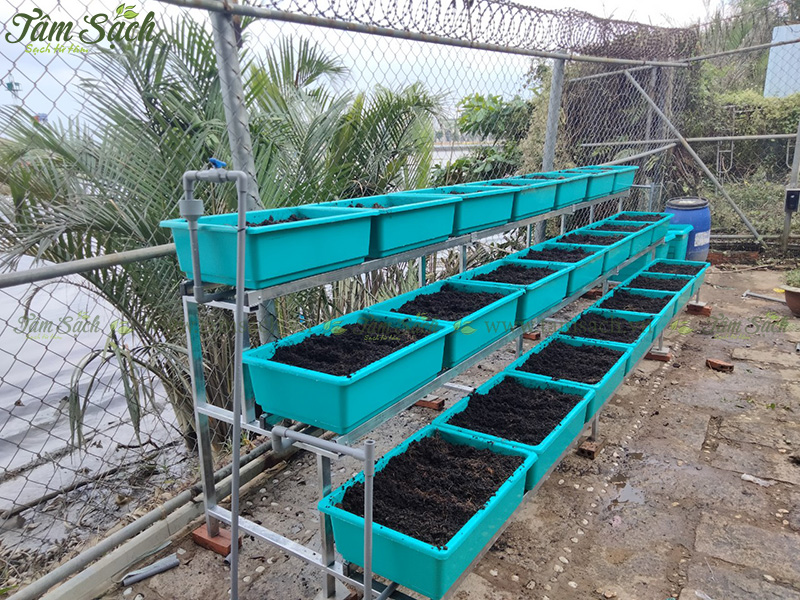 khay trồng rau 3 tầng thông minh