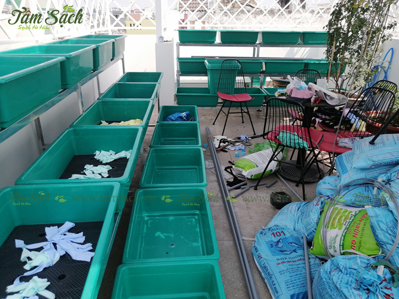 khay trồng rau 3 tầng thông minh