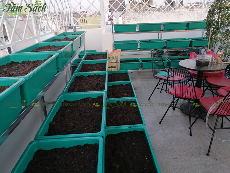khay trồng rau 3 tầng thông minh