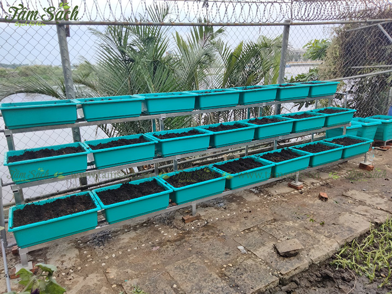 khay trồng rau 3 tầng thông minh