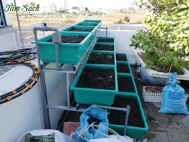 khay trồng rau 3 tầng thông minh