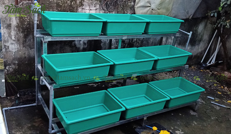 khay trồng rau 3 tầng thông minh