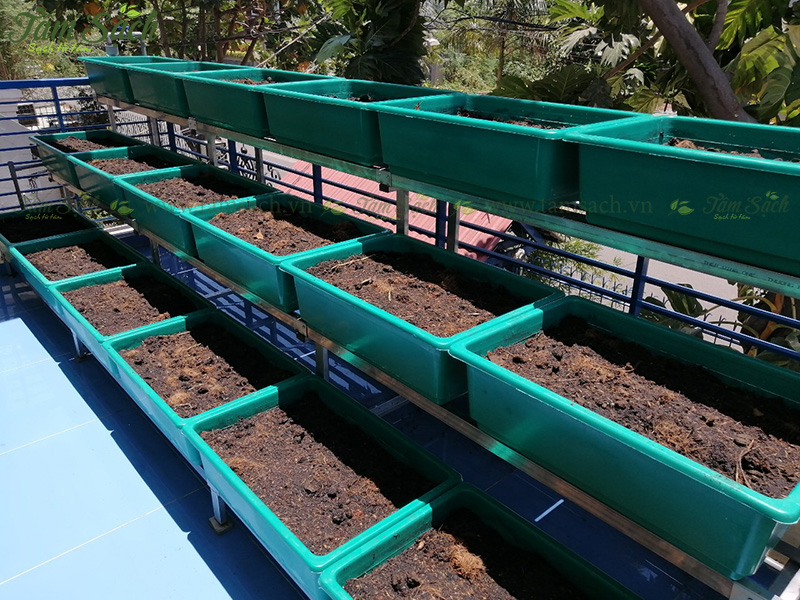 khay trồng rau 3 tầng thông minh