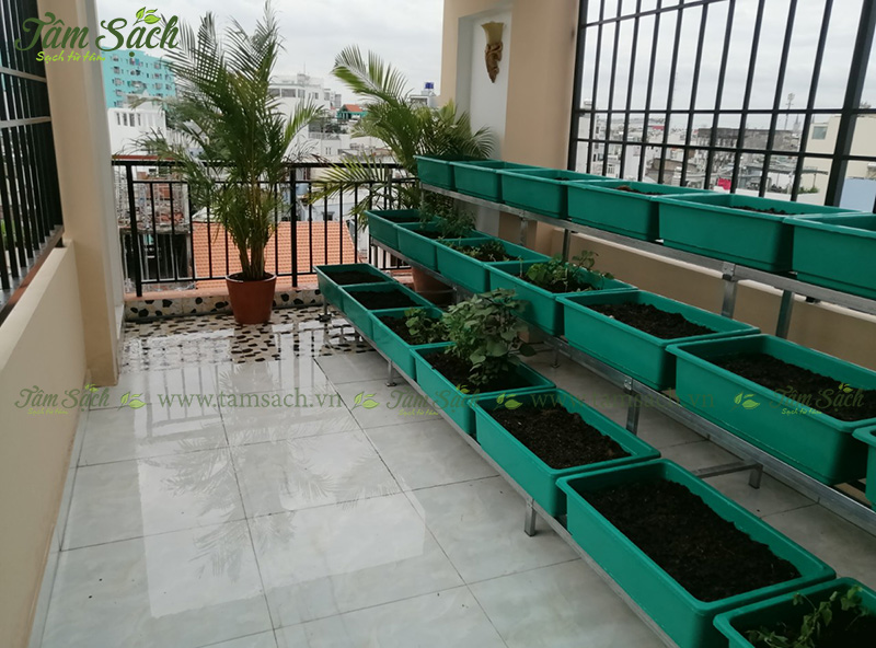 khay trồng rau 3 tầng thông minh