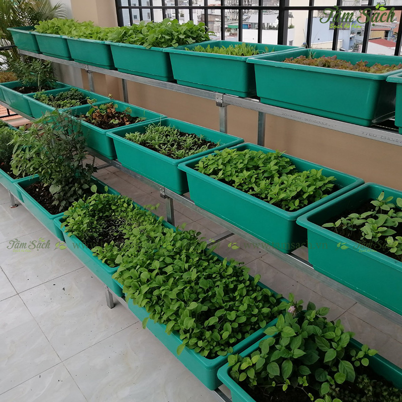 khay trồng rau 3 tầng thông minh