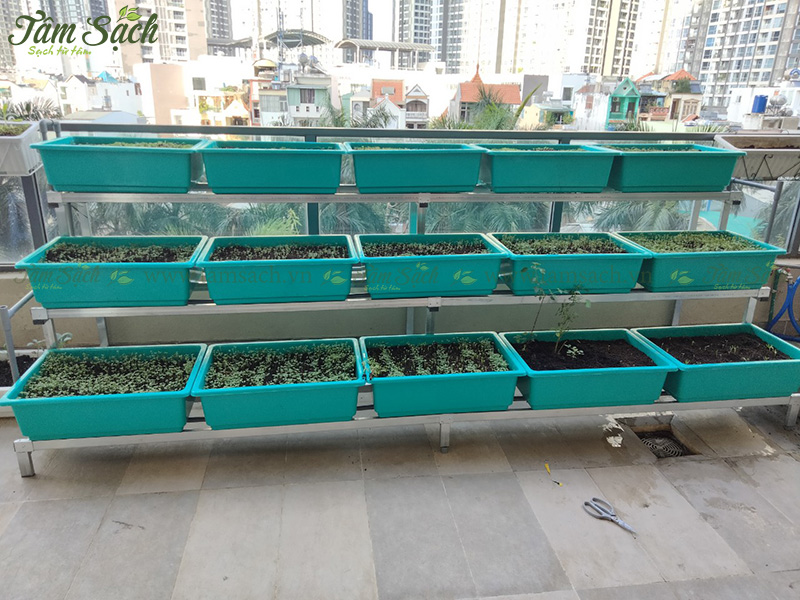 khay trồng rau 3 tầng thông minh