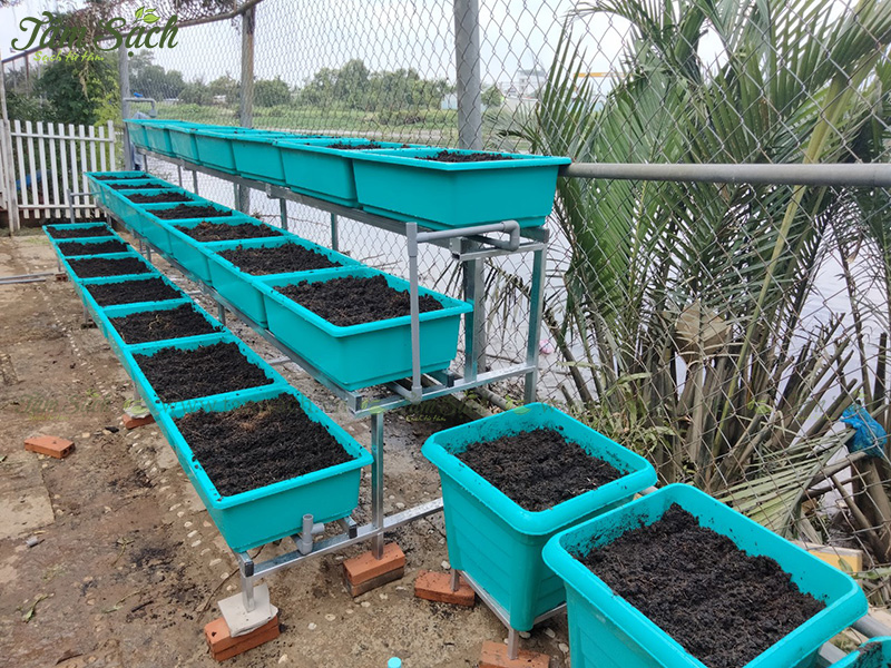 khay trồng rau 3 tầng thông minh