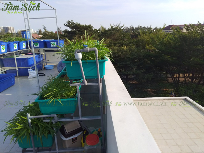 khay trồng rau 3 tầng thông minh