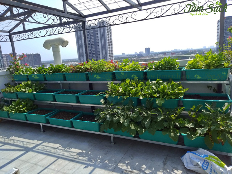 khay trồng rau 3 tầng thông minh