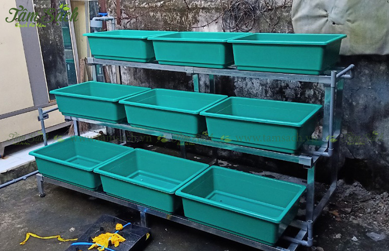 khay trồng rau 3 tầng thông minh