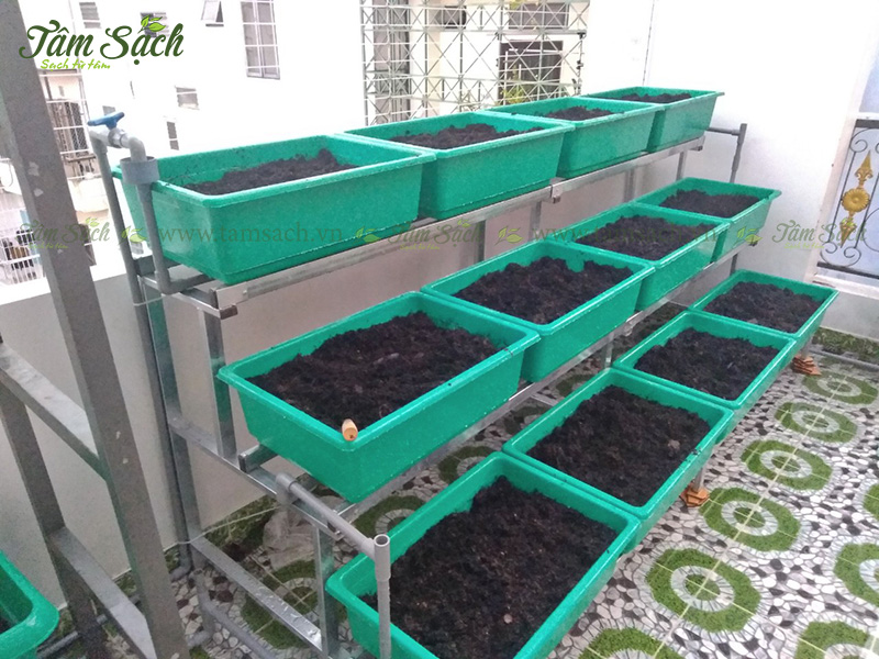 khay trồng rau 3 tầng thông minh
