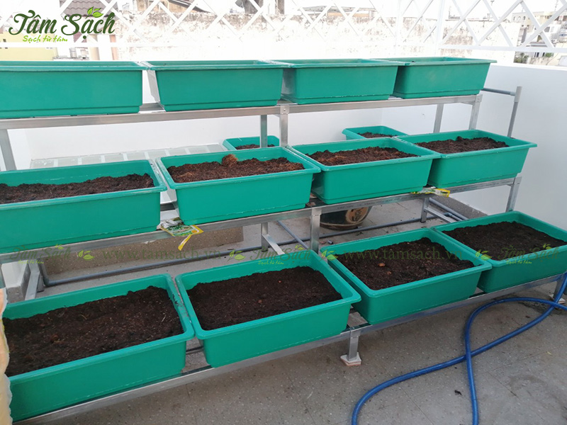 khay trồng rau 3 tầng thông minh