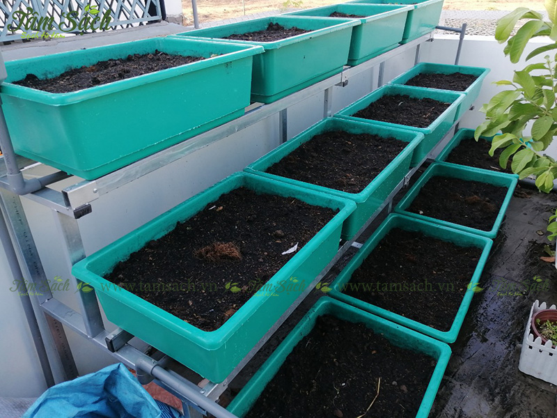 khay trồng rau 3 tầng thông minh