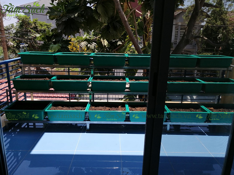 khay trồng rau 3 tầng thông minh