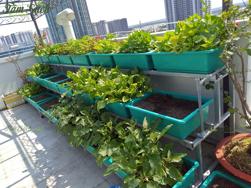 khay trồng rau 3 tầng thông minh