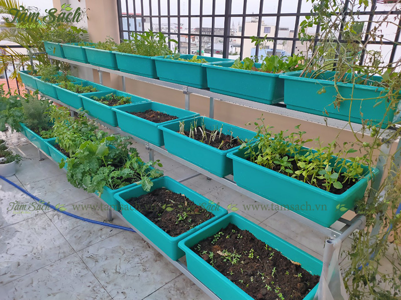 khay trồng rau 3 tầng thông minh