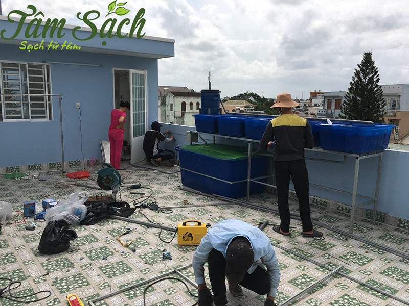 mô hình thuỷ canh mini