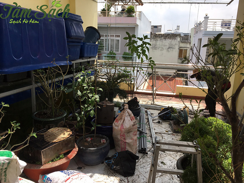 Nuôi cá trồng rau thuỷ canh