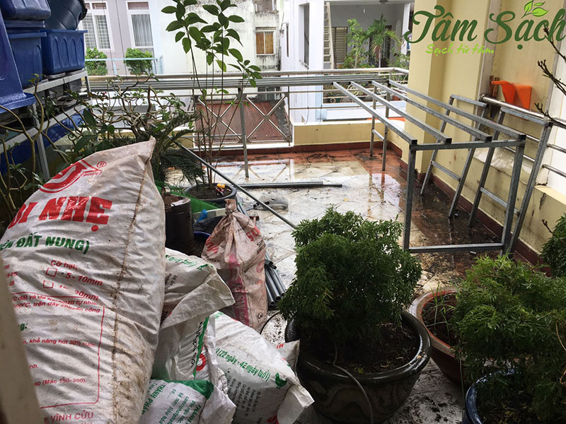 Nuôi cá trồng rau thuỷ canh