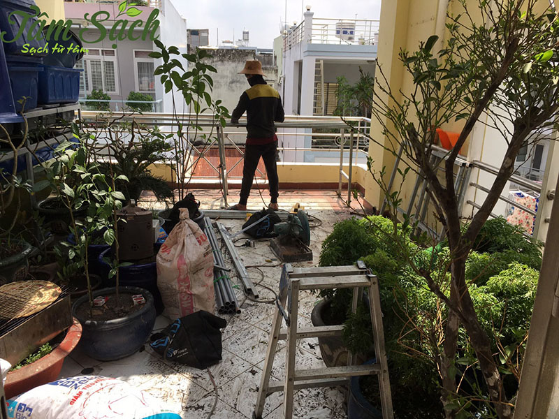 Nuôi cá trồng rau thuỷ canh