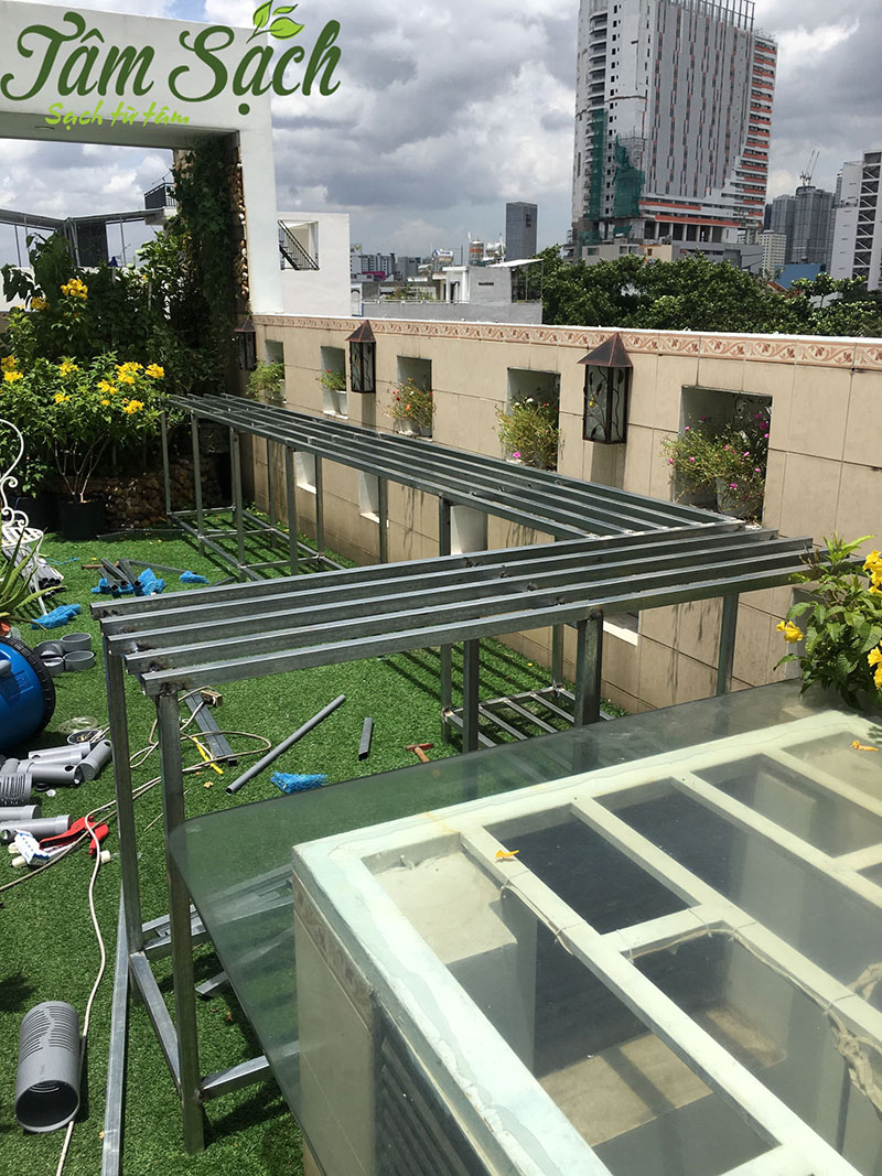 trồng rau sân thượng đơn giản