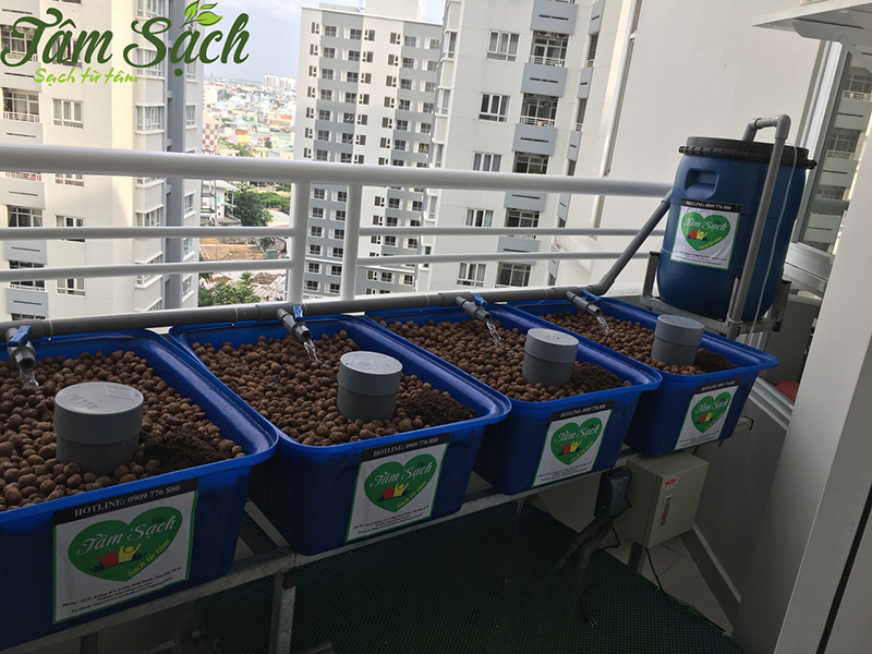 Vườn rau ban công nhỏ gọn