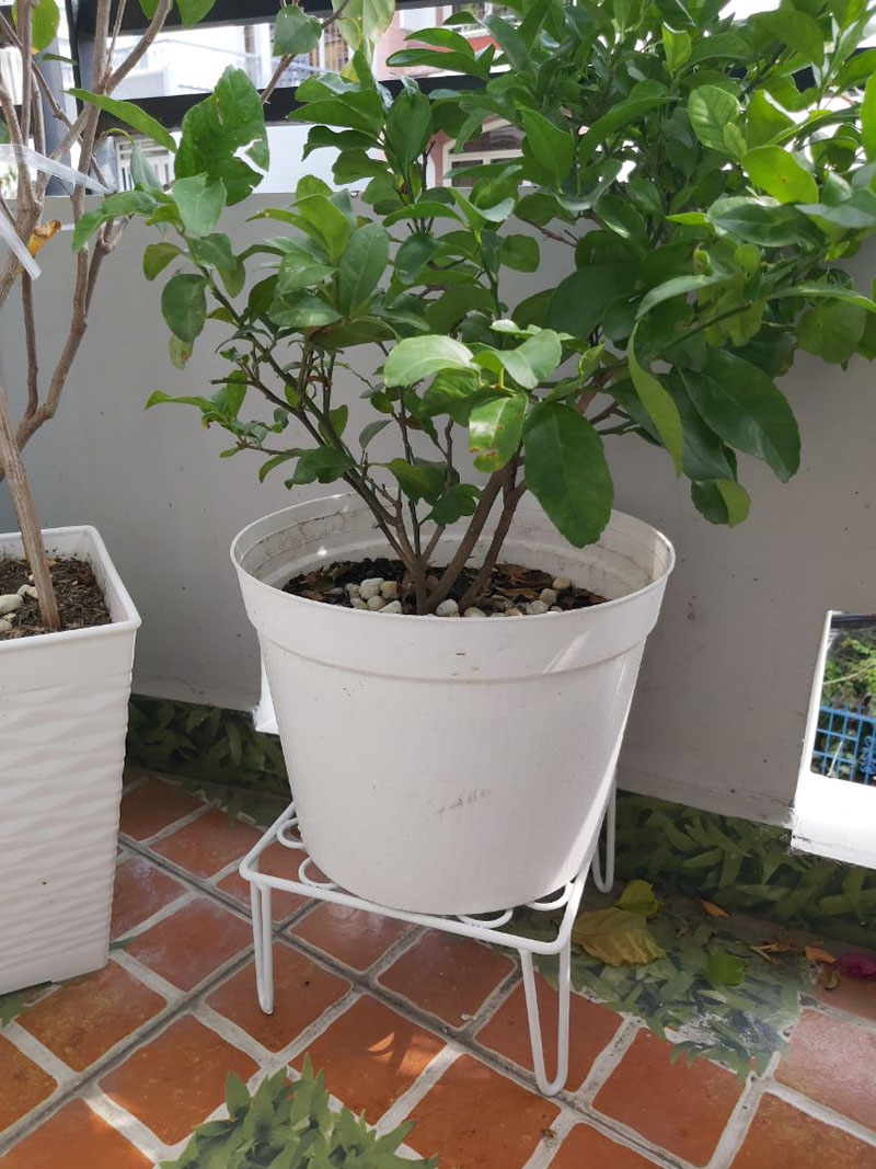 chân đế để chậu cây