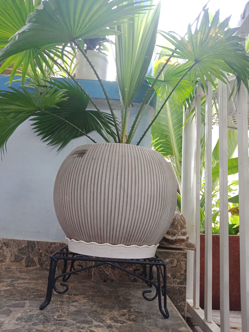chân đế để chậu cây