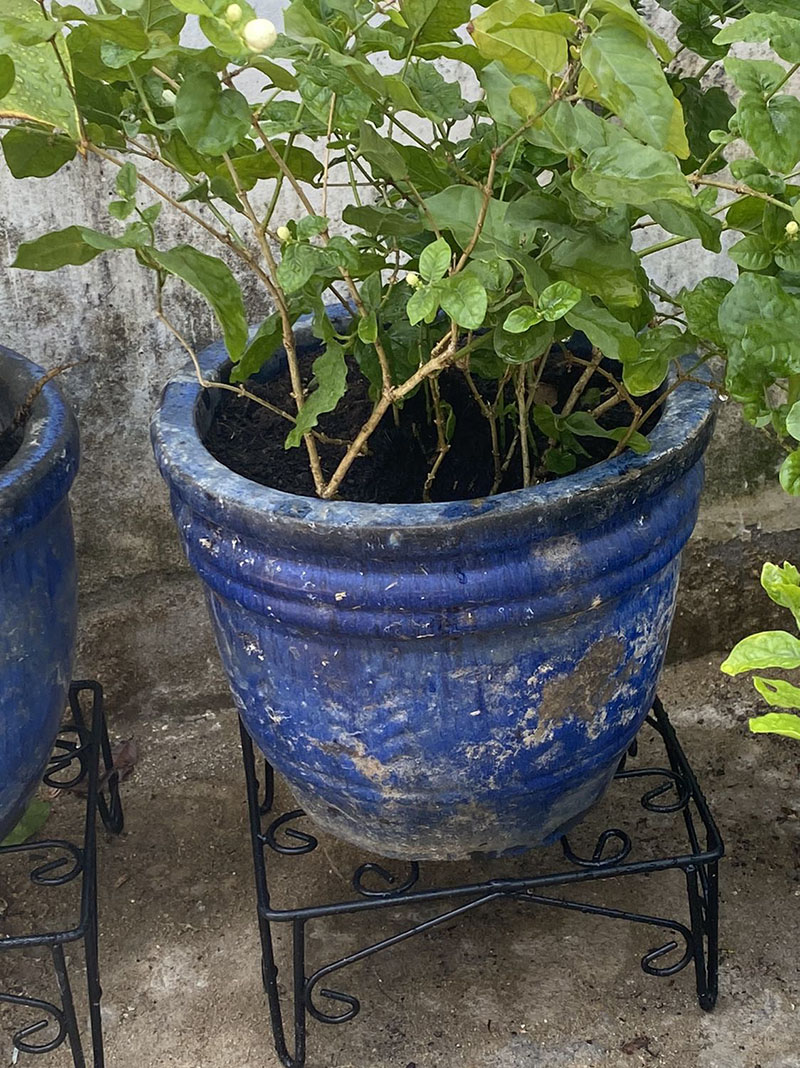 chân đế để chậu cây