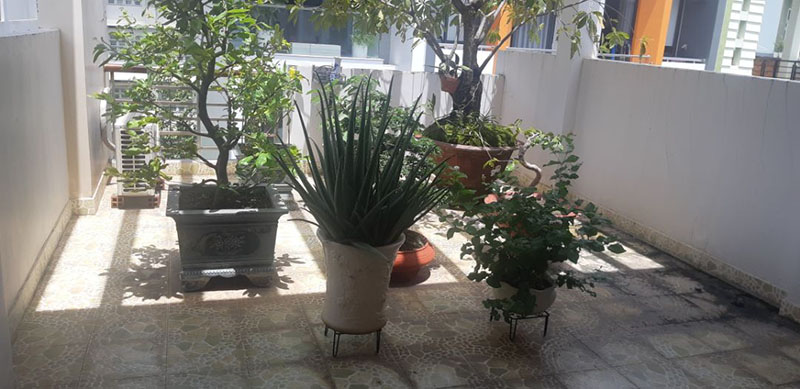 chân đế để chậu cây