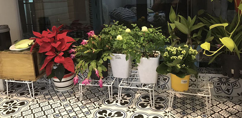 chân đế để chậu cây