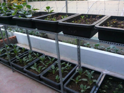 kệ trồng rau sắt V lỗ thẳng đứng 6 khay rau