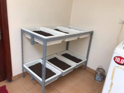 kệ trồng rau sắt V lỗ thẳng đứng 6 khay