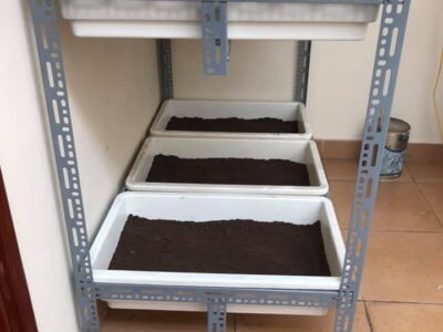 kệ trồng rau sắt V lỗ thẳng đứng 6 khay