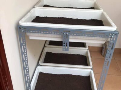 kệ trồng rau sắt V lỗ thẳng đứng 6 khay