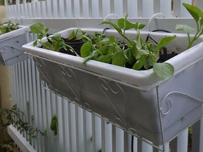 kệ trồng rau treo ban công