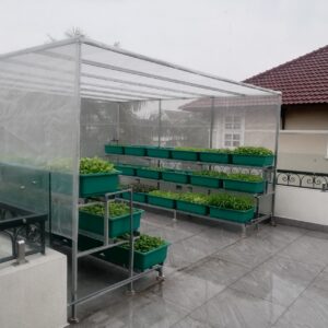 kĩ thuật trồng rau mùa mưa