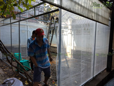 nhà lưới trồng rau