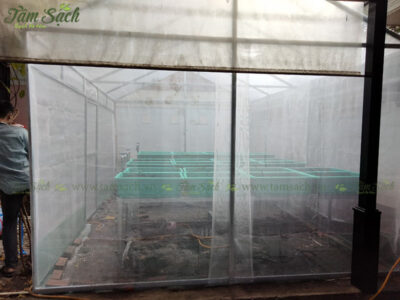 nhà lưới trồng rau