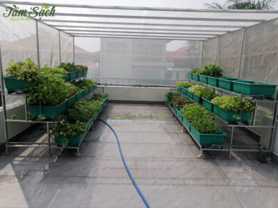 nhà lưới trồng rau