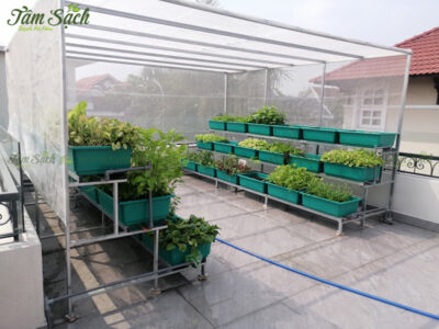nhà lưới trồng rau