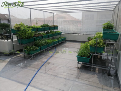 nhà lưới trồng rau