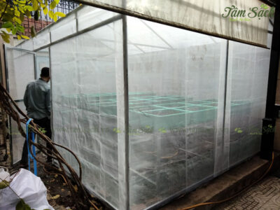 nhà lưới trồng rau