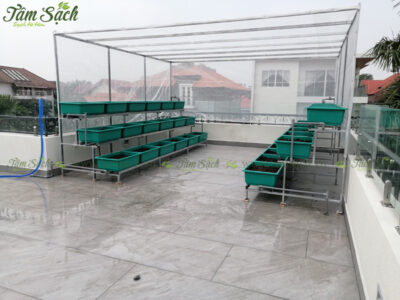 nhà lưới trồng rau