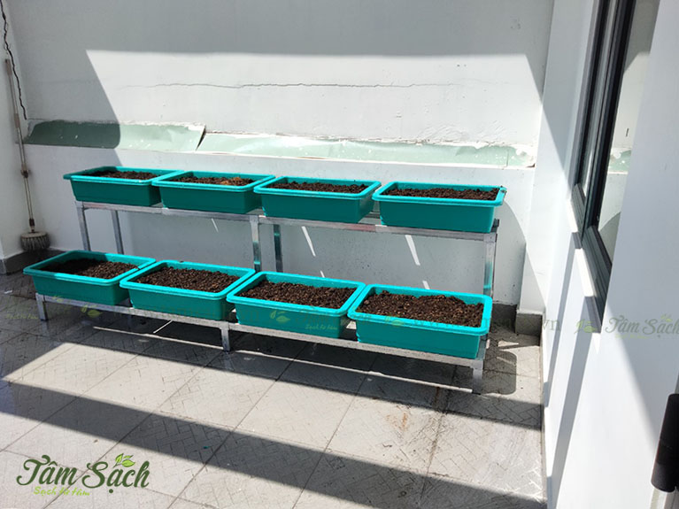 Thiết kế kệ trồng rau sạch 2 tầng